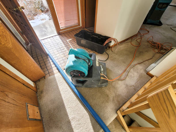 Best Flooded house restoration  in Woodbury Heights, NJ