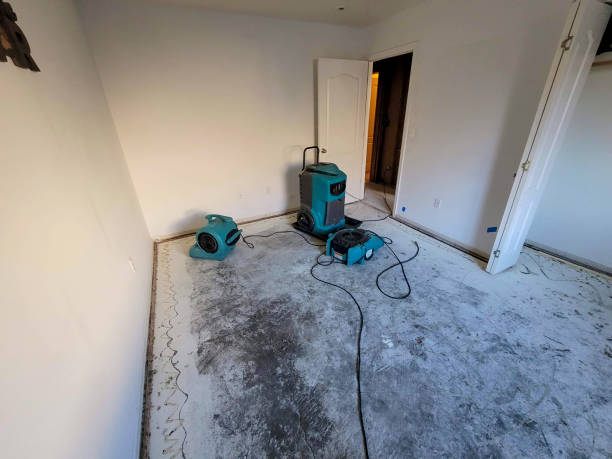 Best Fire Damage Restoration  in Woodbury Heights, NJ